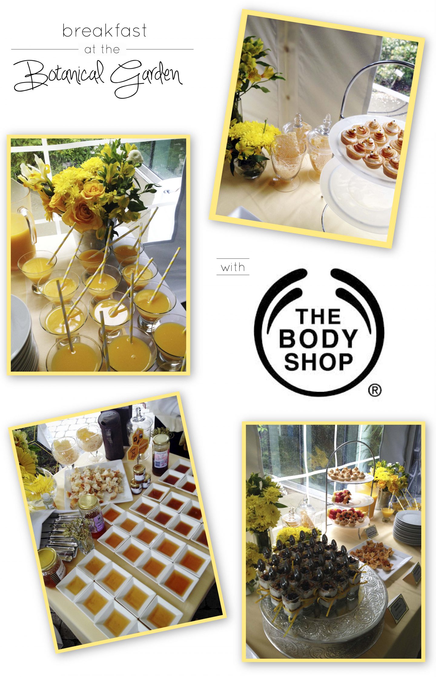 The Body Shop, Honeymania, Natural Honey, Organic Beauty Products, Organic, Make-Up, Lotion,